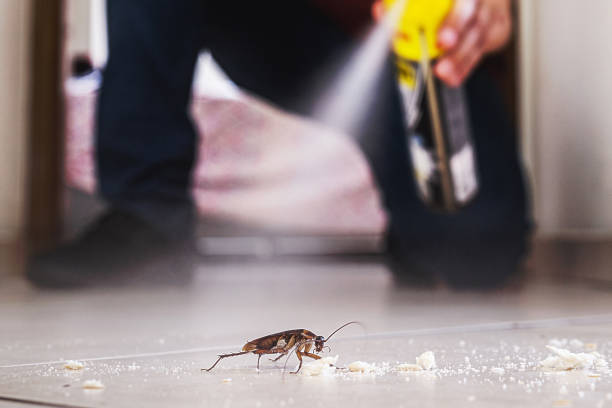 Trusted Riddle, OR Pest Control Experts